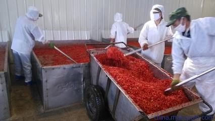 探秘酒泉脱水南瓜粒 大基地蔬菜干制品的品质与价格之旅